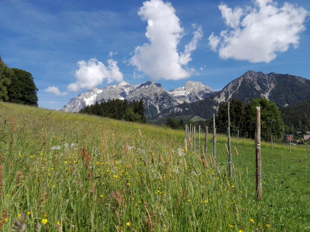Haslehnerhof Villa Ramsau am Dachstein Eksteriør billede