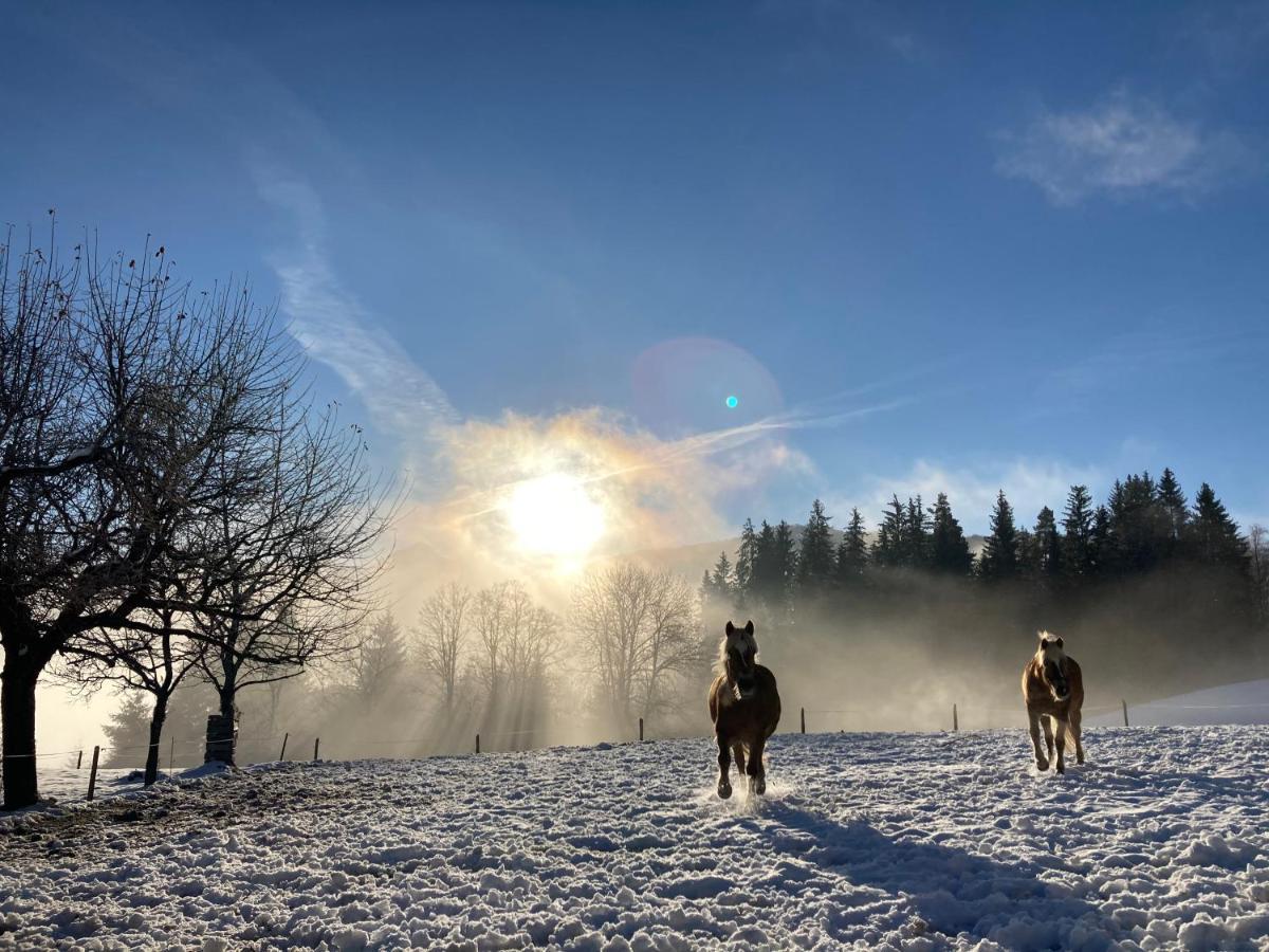 Haslehnerhof Villa Ramsau am Dachstein Eksteriør billede