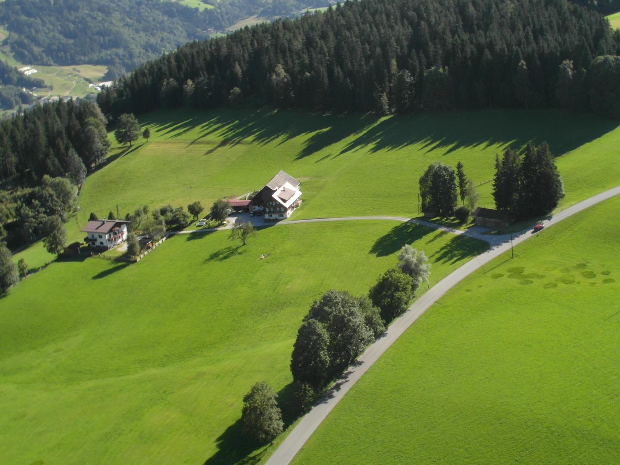 Haslehnerhof Villa Ramsau am Dachstein Eksteriør billede