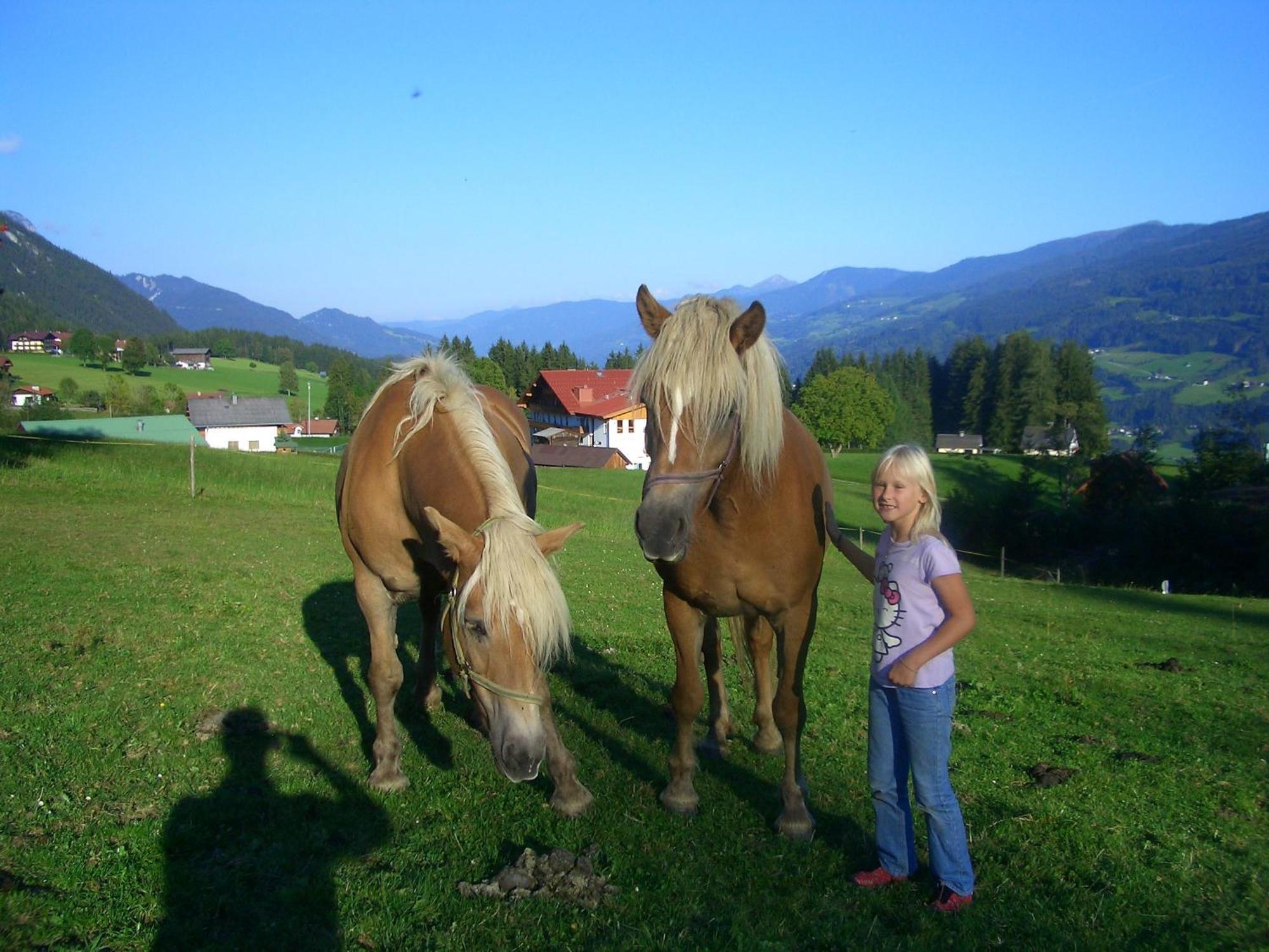 Haslehnerhof Villa Ramsau am Dachstein Eksteriør billede