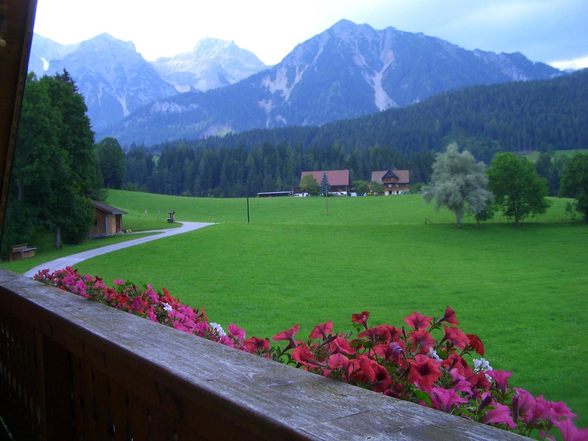 Haslehnerhof Villa Ramsau am Dachstein Eksteriør billede