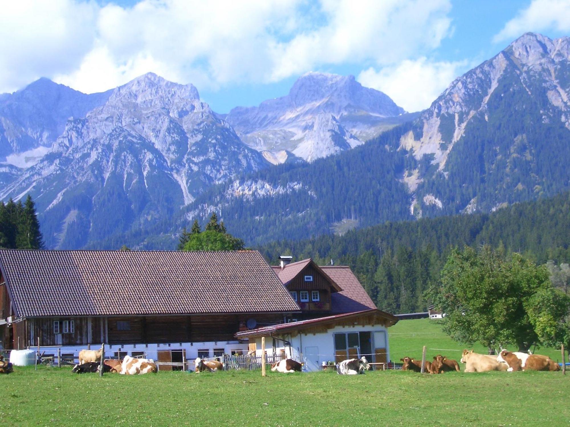 Haslehnerhof Villa Ramsau am Dachstein Eksteriør billede