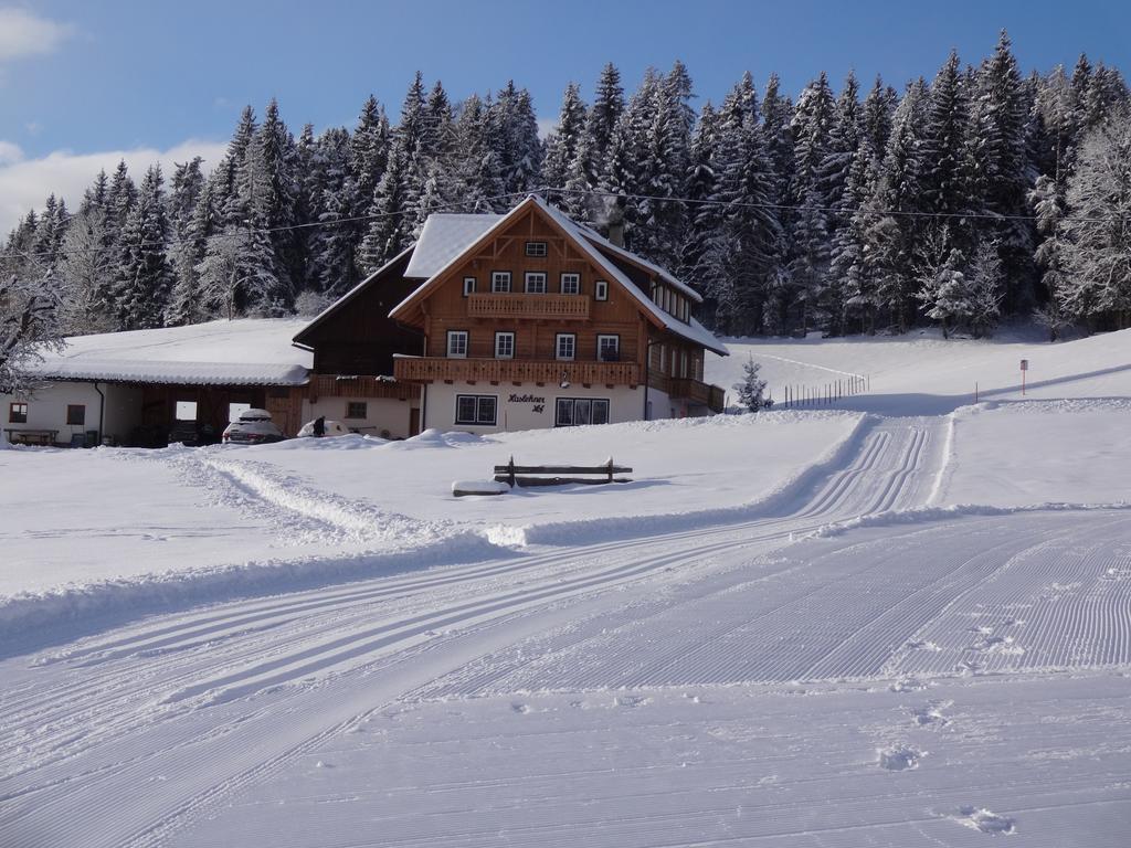 Haslehnerhof Villa Ramsau am Dachstein Eksteriør billede